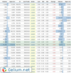 NVDA-Opt-Aug-30.png