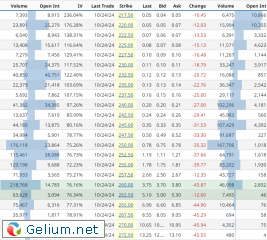 TSLA-Opt-25-Oct.png