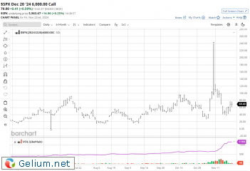 SPX-6000-call.png